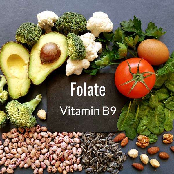 Folate and Folic Acid (Vitamin B9) | GastroLife