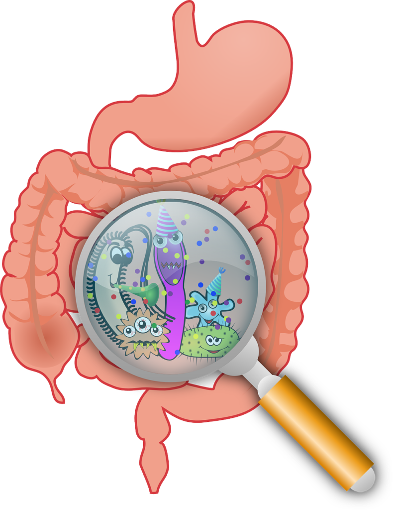 SIBO and IBS: How HMBT can aid in investigation and diagnosis